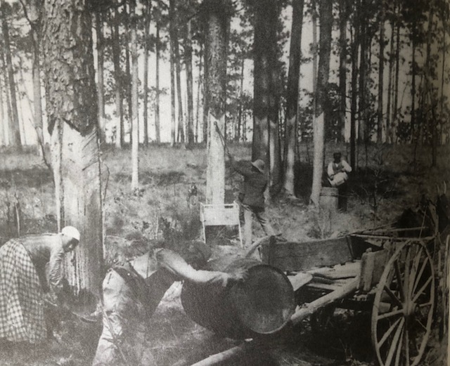 sawmills-lumber-and-naval-stores-biloxi-historical-society